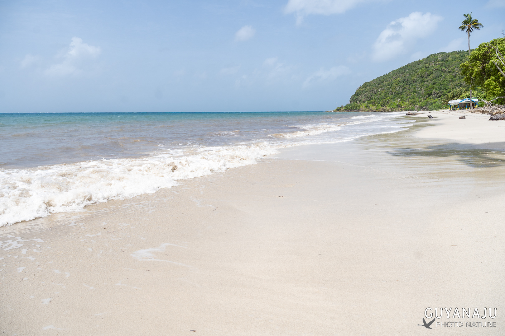 PLAYA MANZANILLO