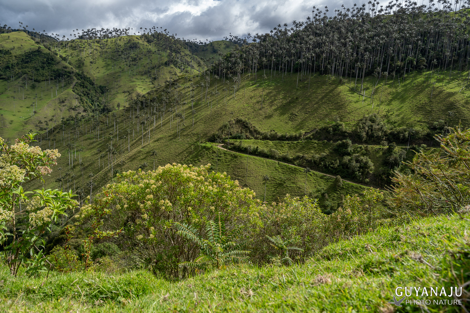 VALLÉE DE LA CARBONERA