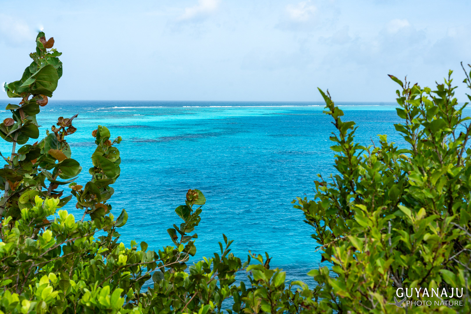 CAYO CANGREJO