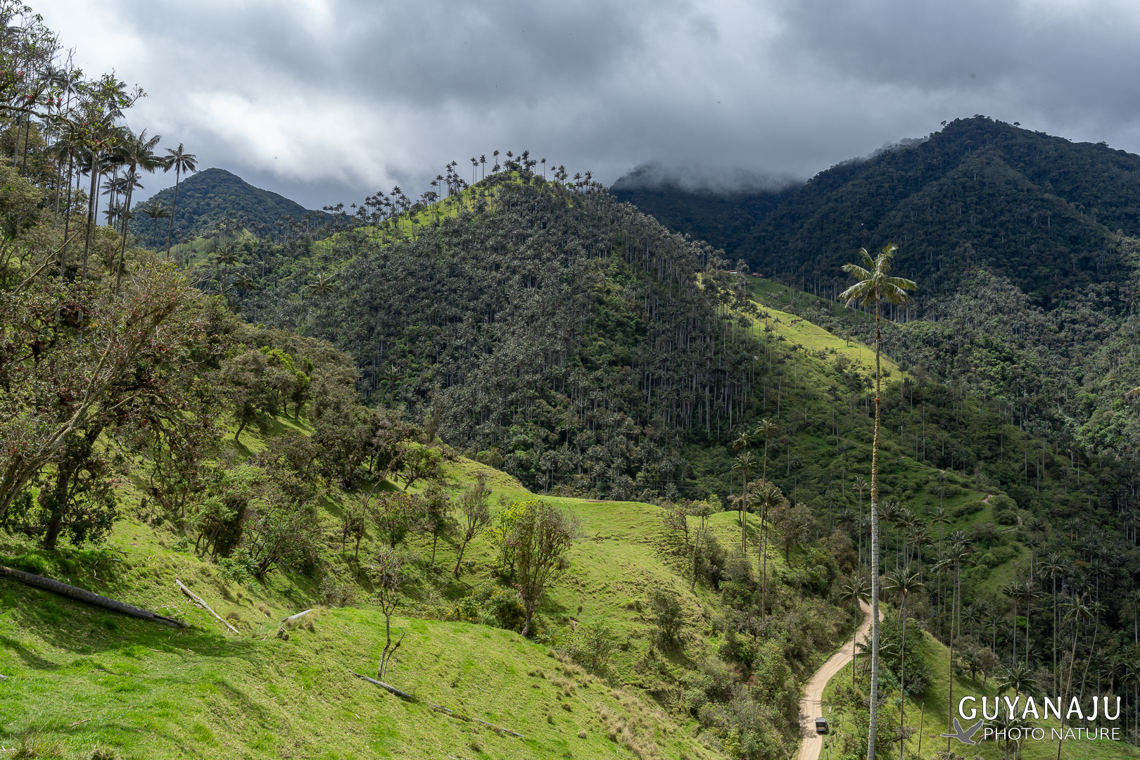 VALLÉE DE LA CARBONERA