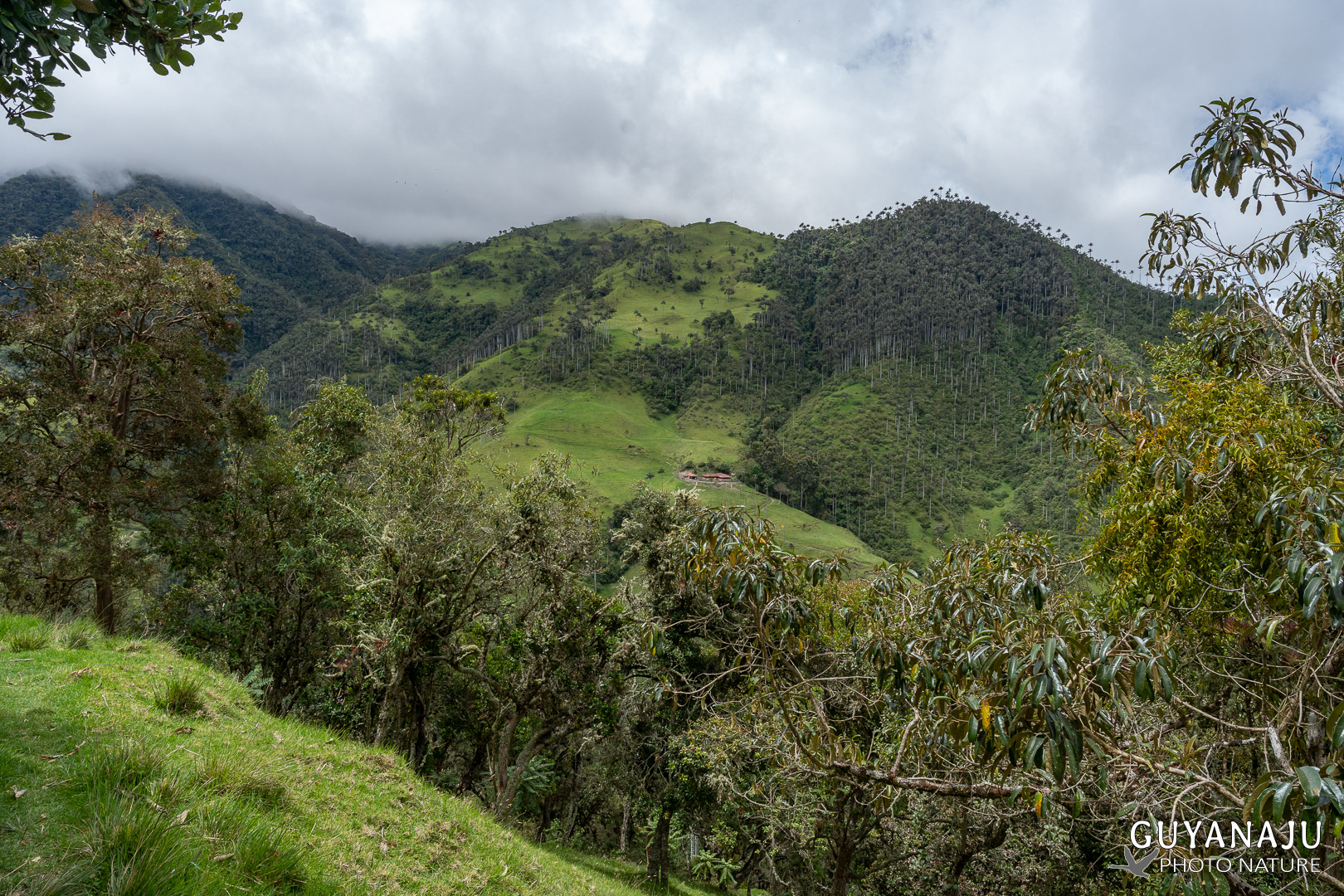VALLÉE DE LA CARBONERA
