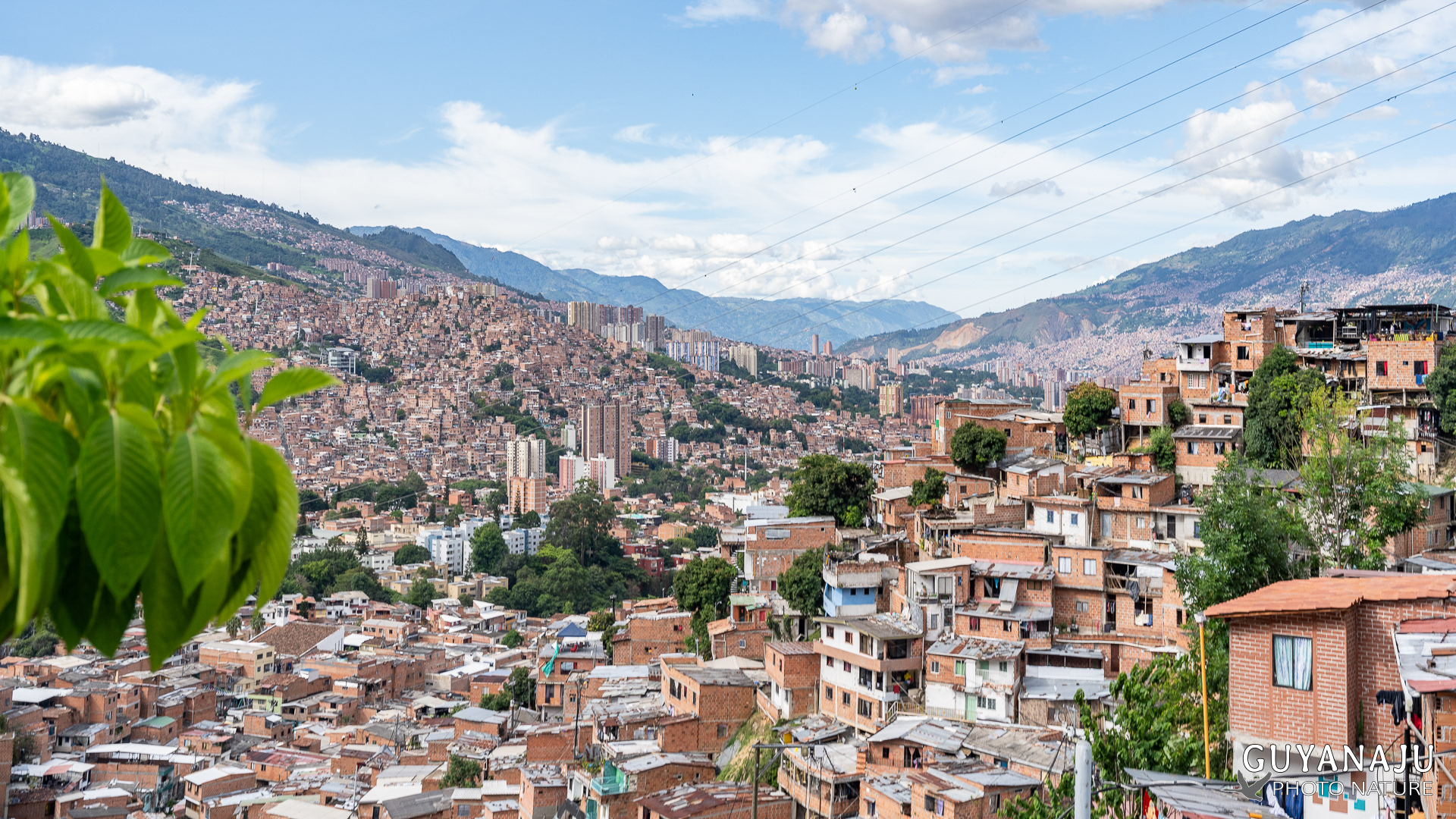 MEDELLIN