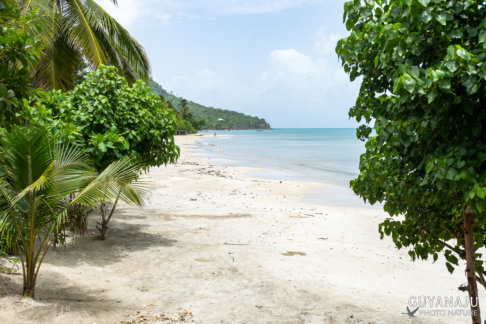 BAHIA SUROESTE