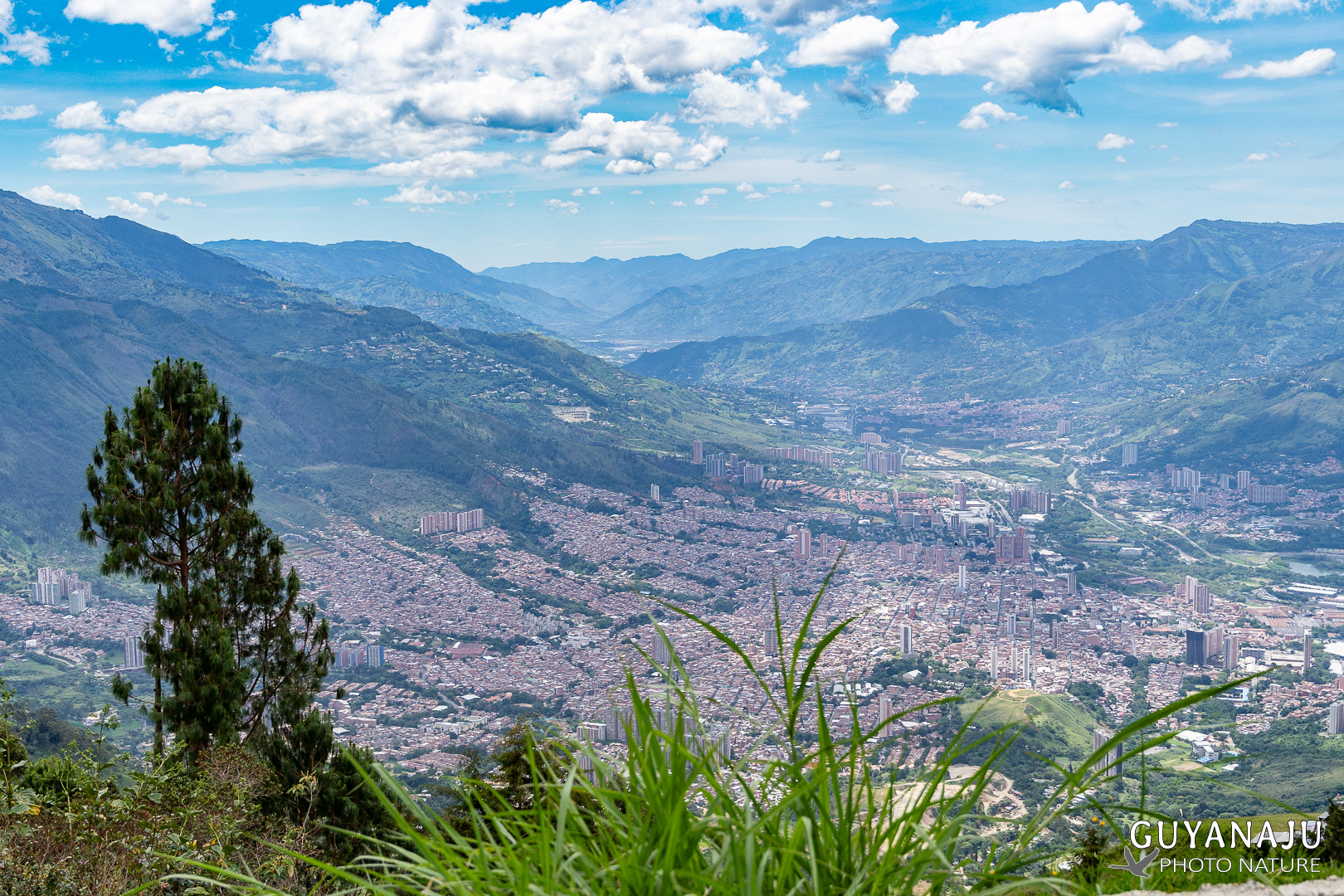 VUE DEPUIS LES HAUTEURS