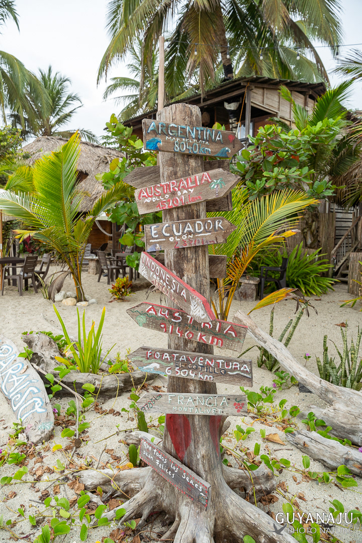 PARC DE TAYRONA