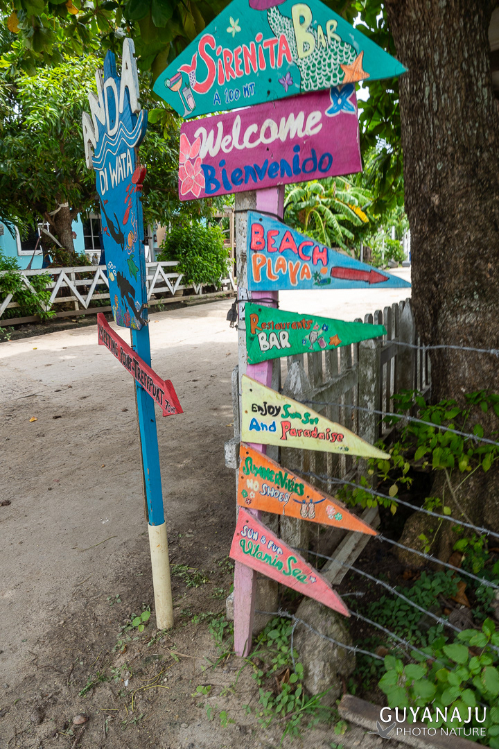 PROVIDENCIA