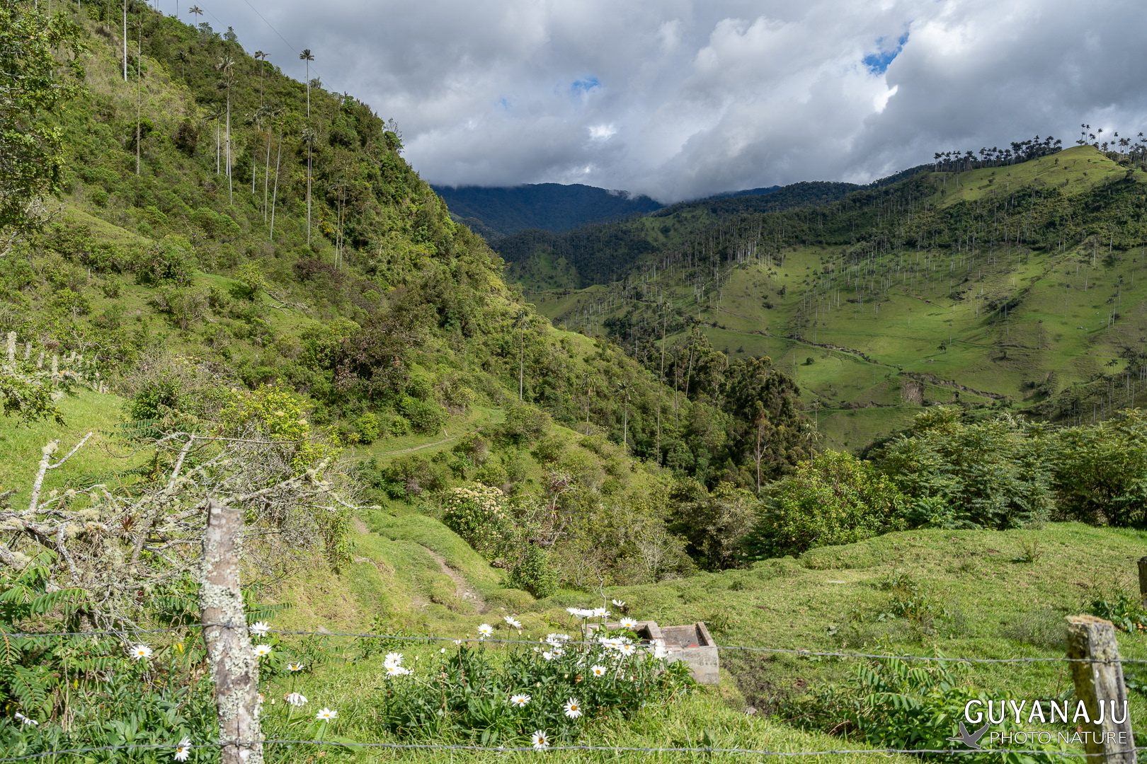 VALLÉE DE LA CARBONERA