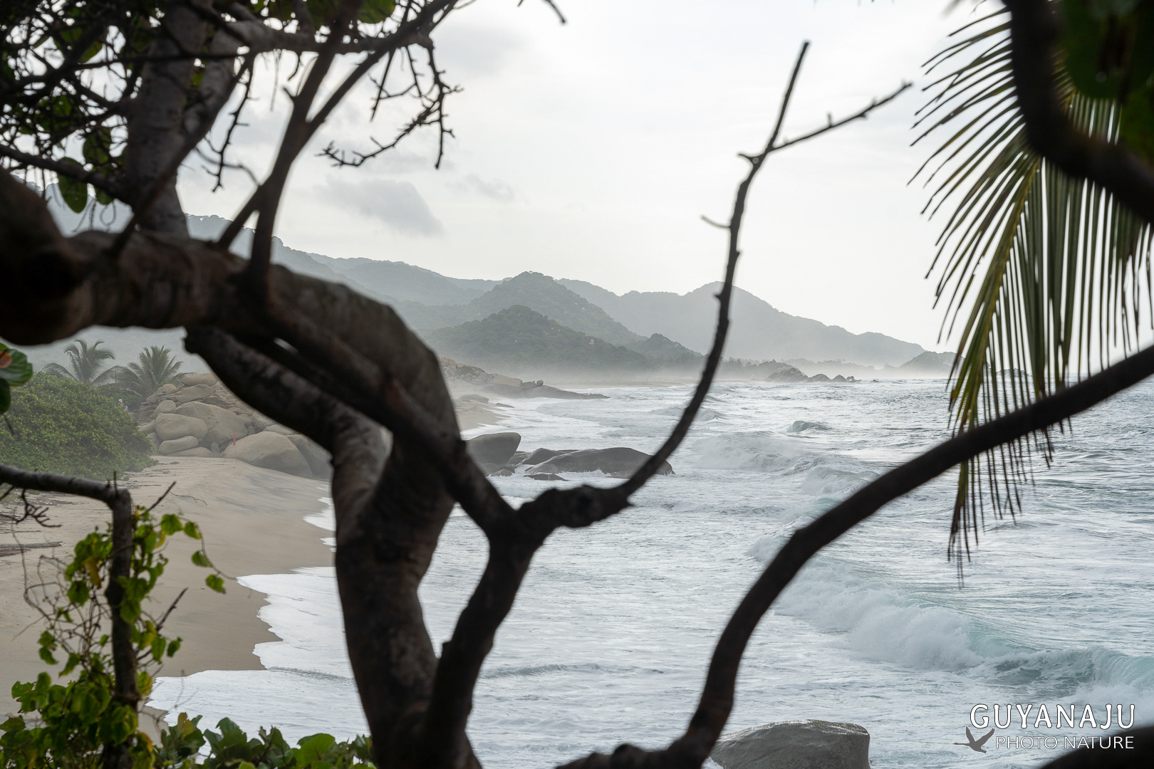 PARC DE TAYRONA
