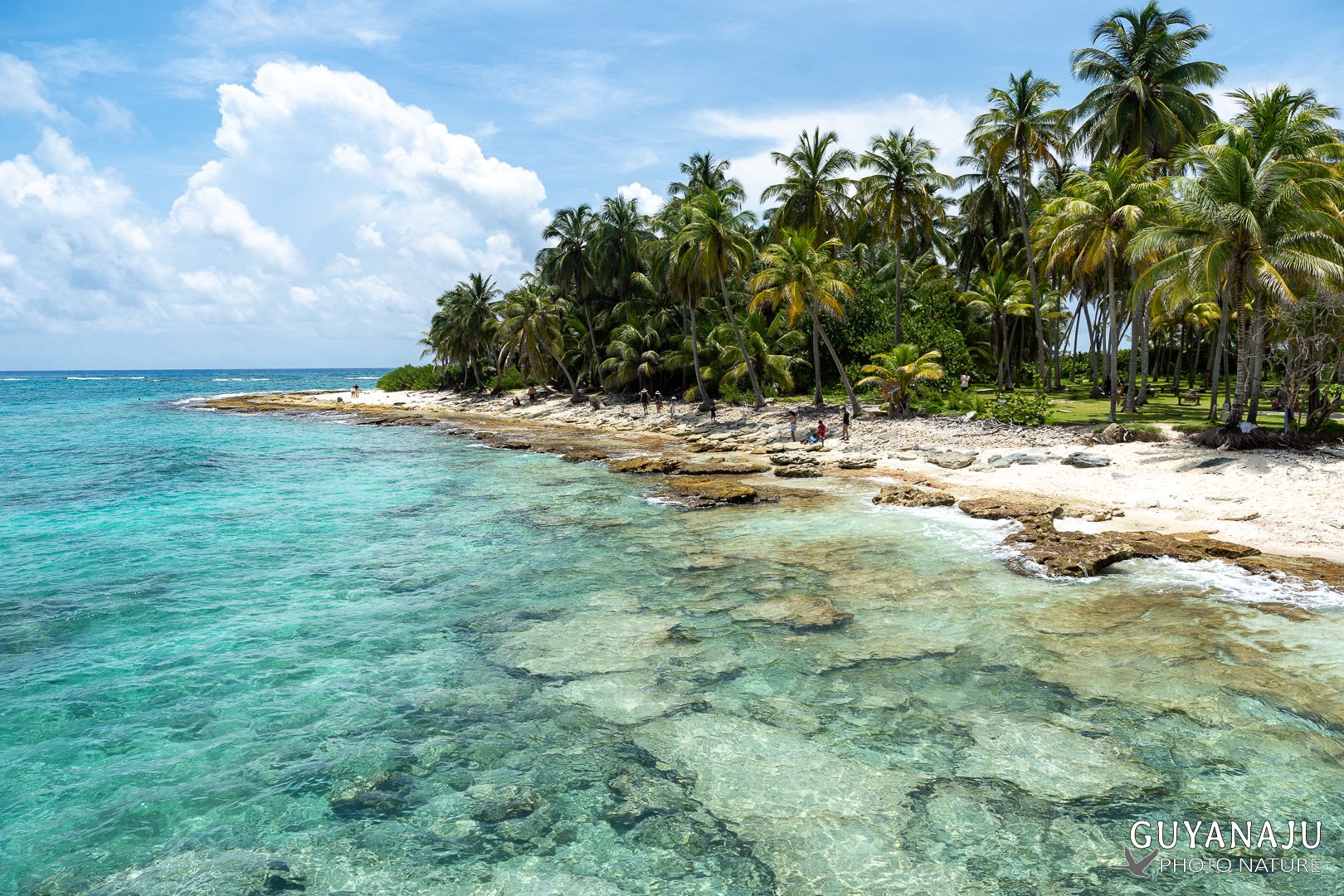 JOHNNY KAY - SAN ANDRES