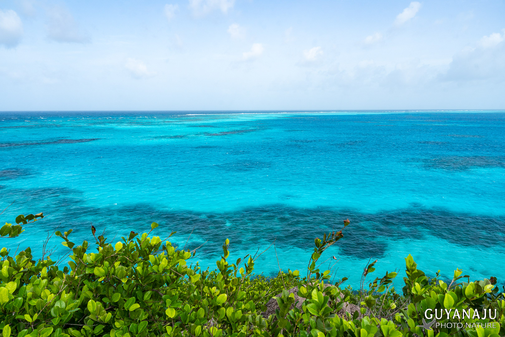 CAYO CANGREJO
