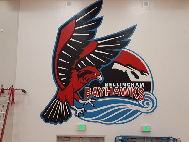 Photo of the illustration painted in the gym