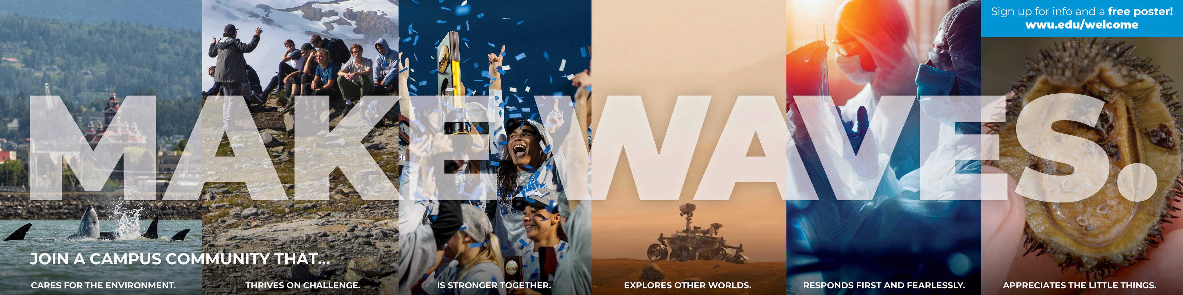 WWU Recruitment Postcard 3