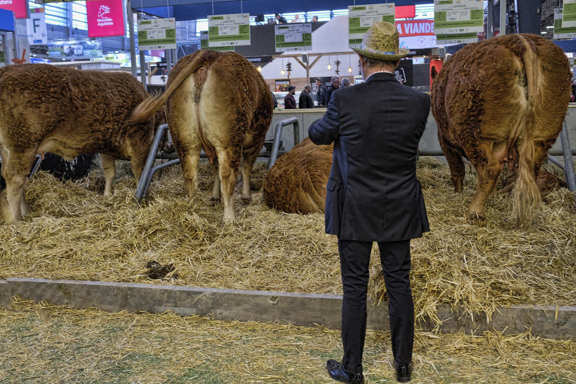Salon de l'agriculture