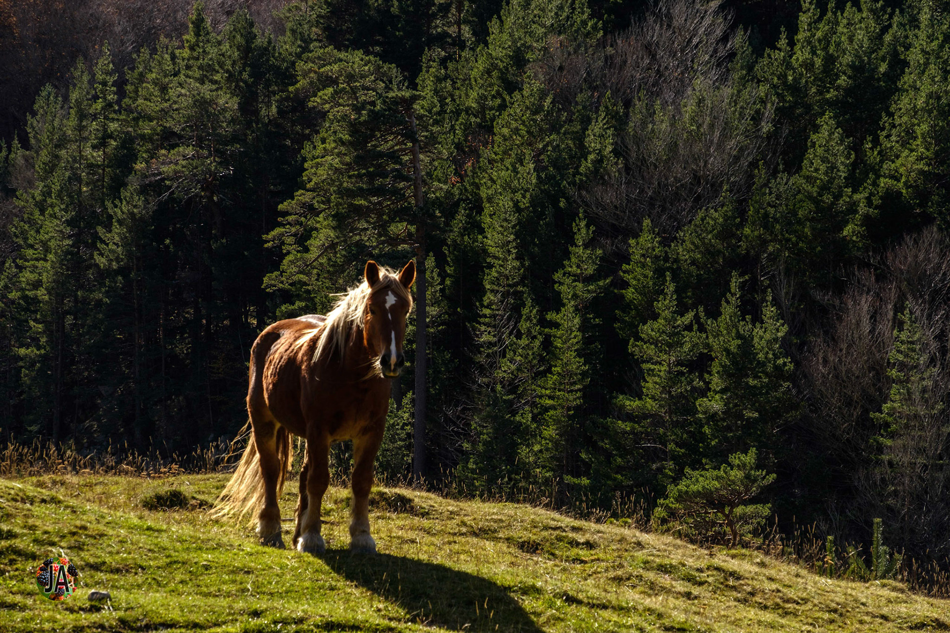 Del refugio de Zuriza al de Tacheras