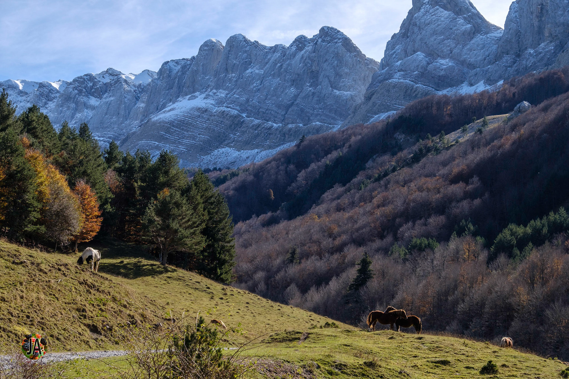 Los Alanos. Del refugio de Zuriza al de Tacheras. Huesca