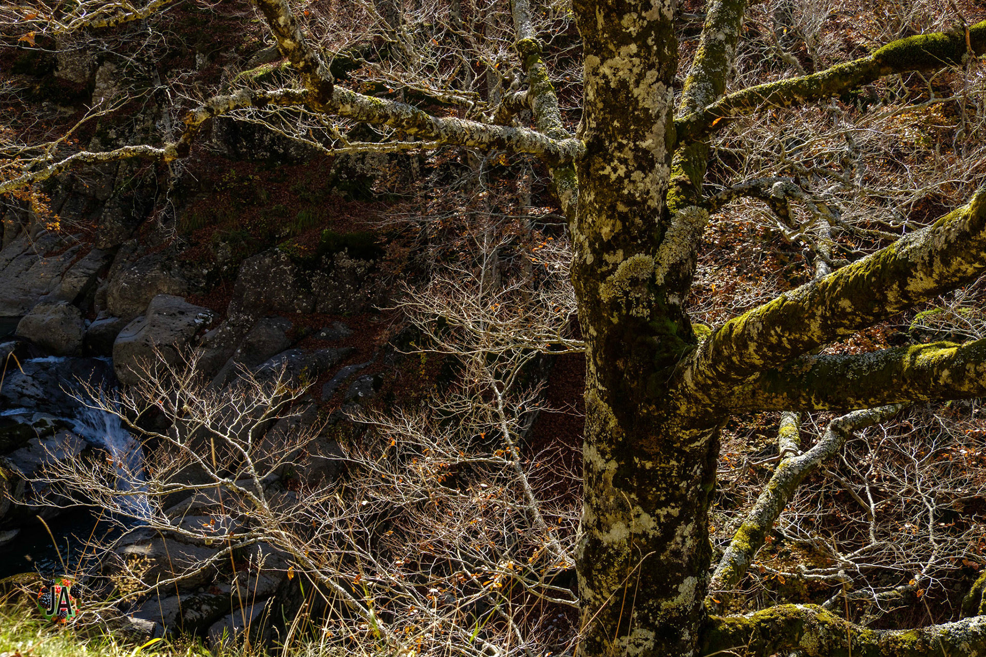 Del refugio de Zuriza al de Tacheras