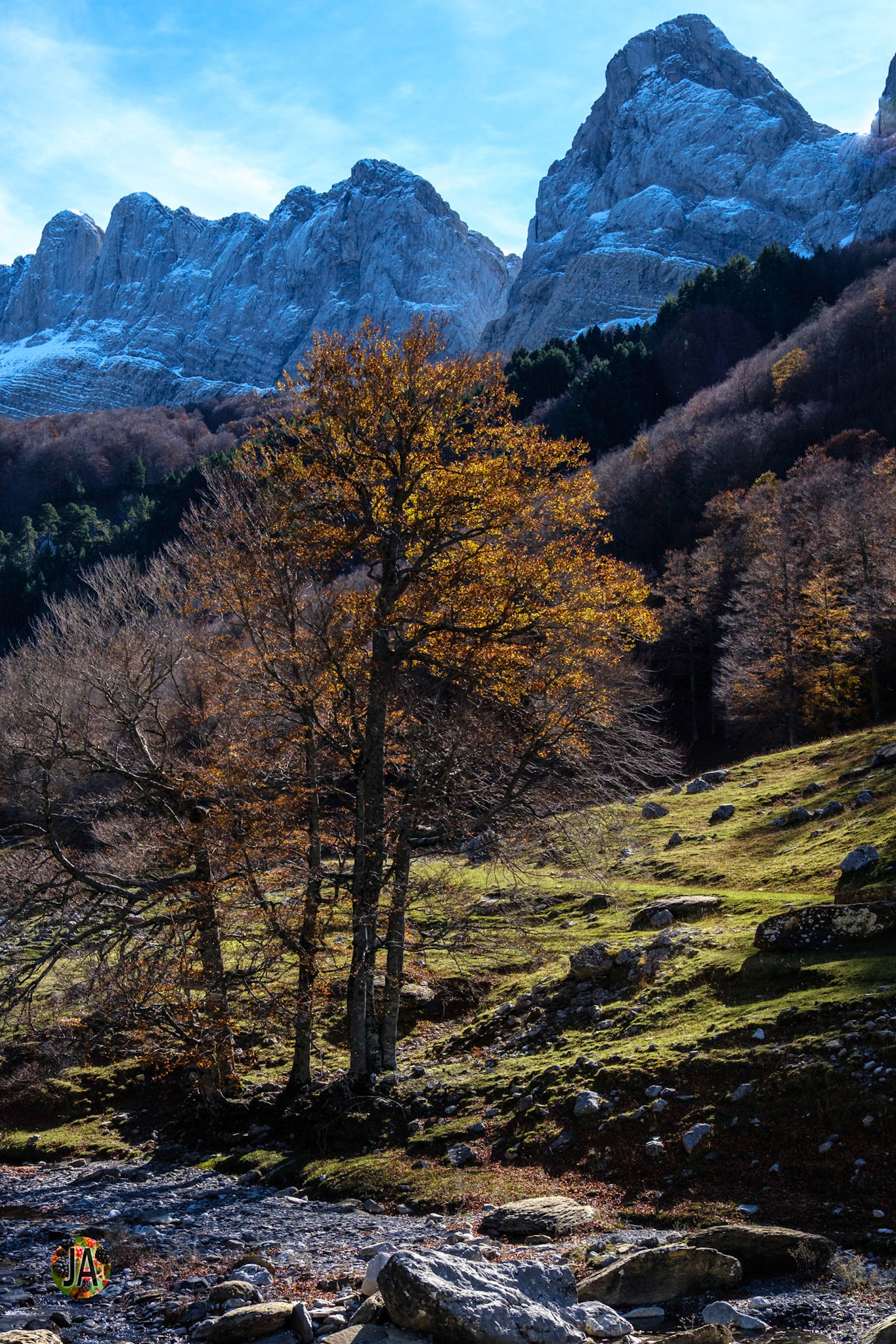 Los Alanos. Del refugio de Zuriza al de Tacheras. Huesca