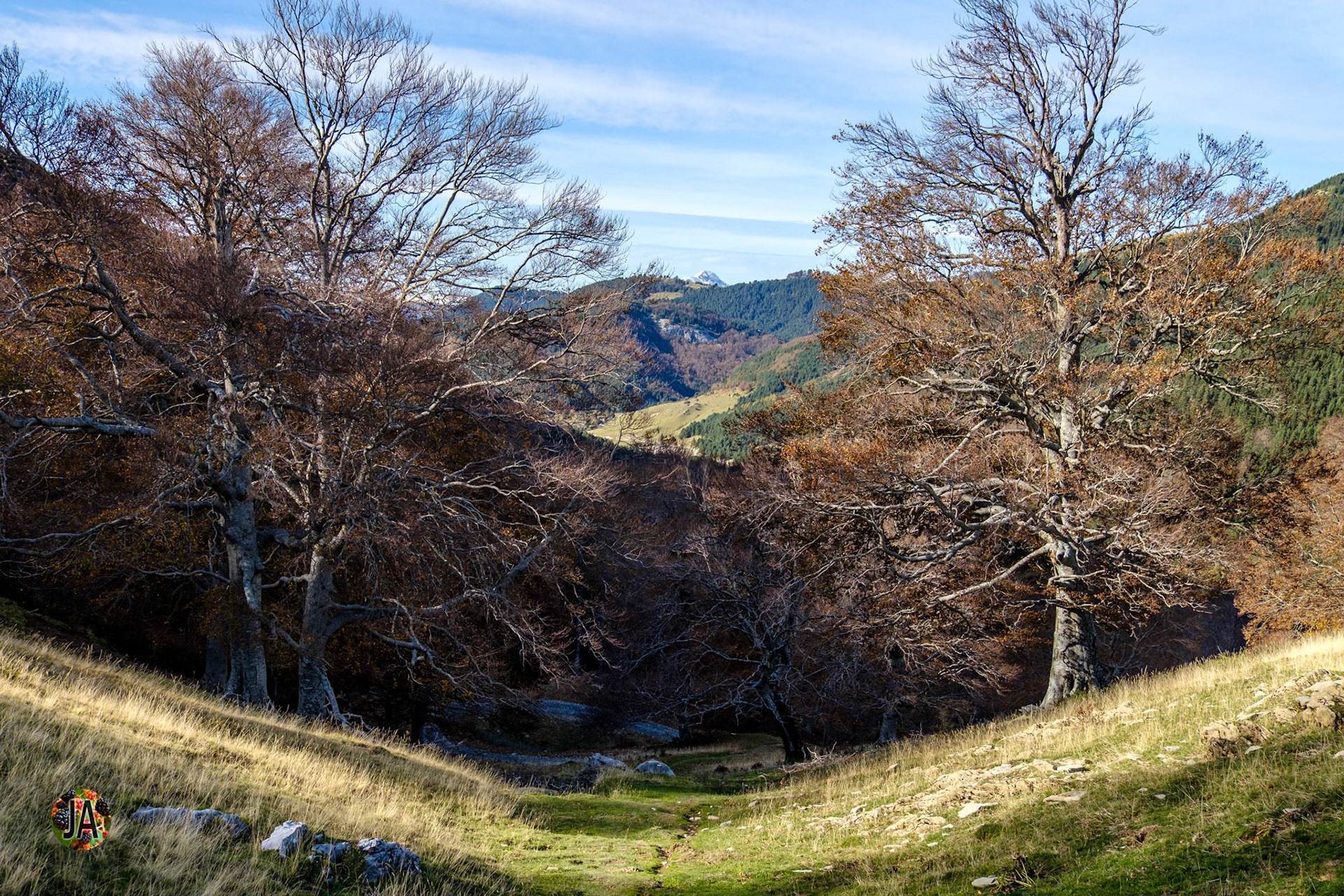 Del refugio de Zuriza al de Tacheras