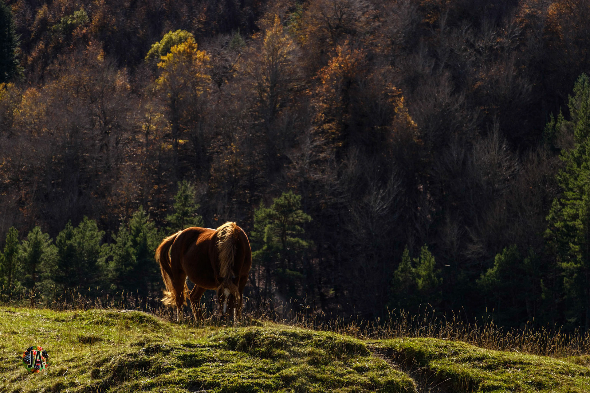 Del refugio de Zuriza al de Tacheras