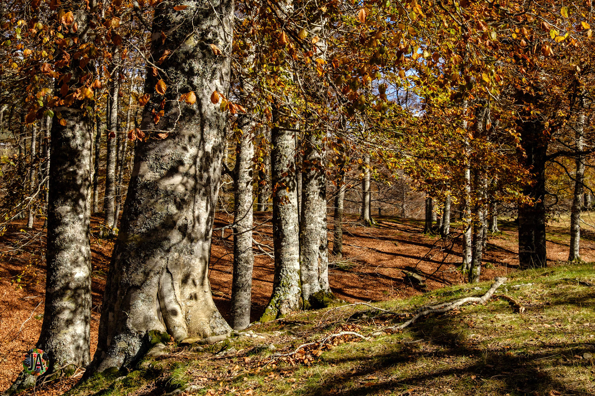 Del refugio de Zuriza al de Tacheras