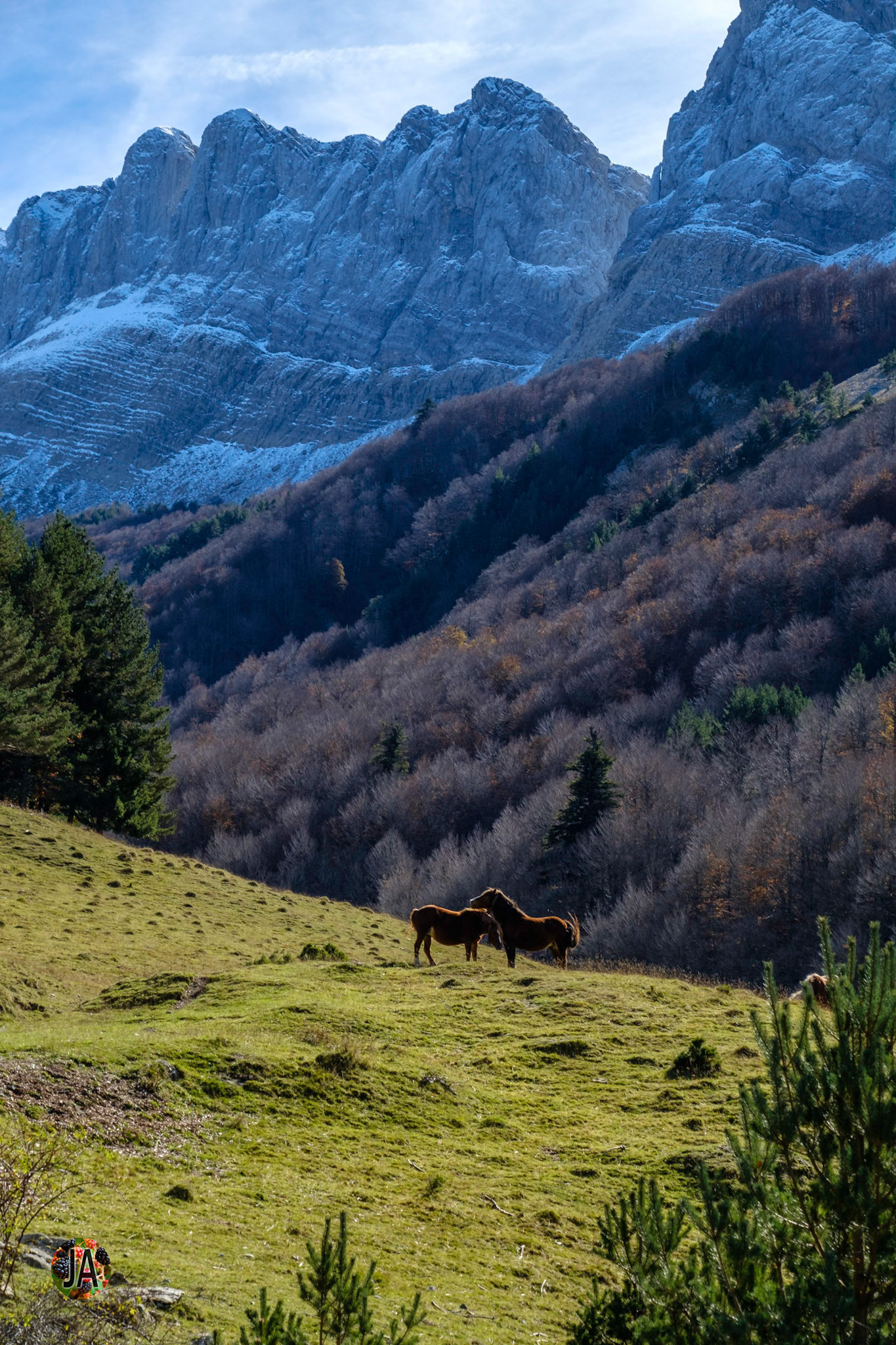 Los Alanos. Del refugio de Zuriza al de Tacheras. Huesca