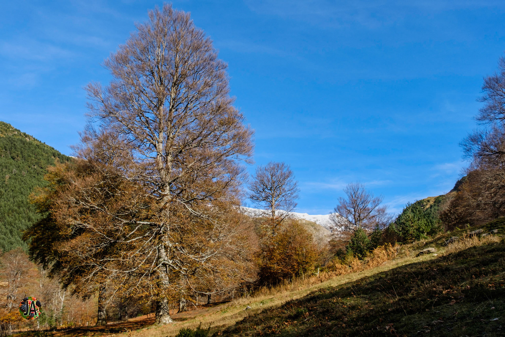 Del refugio de Zuriza al de Tacheras