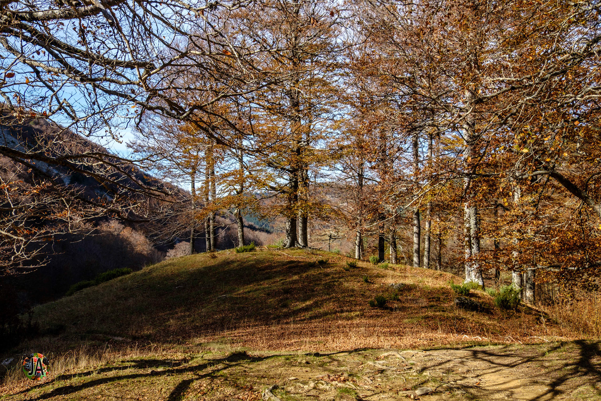 Del refugio de Zuriza al de Tacheras