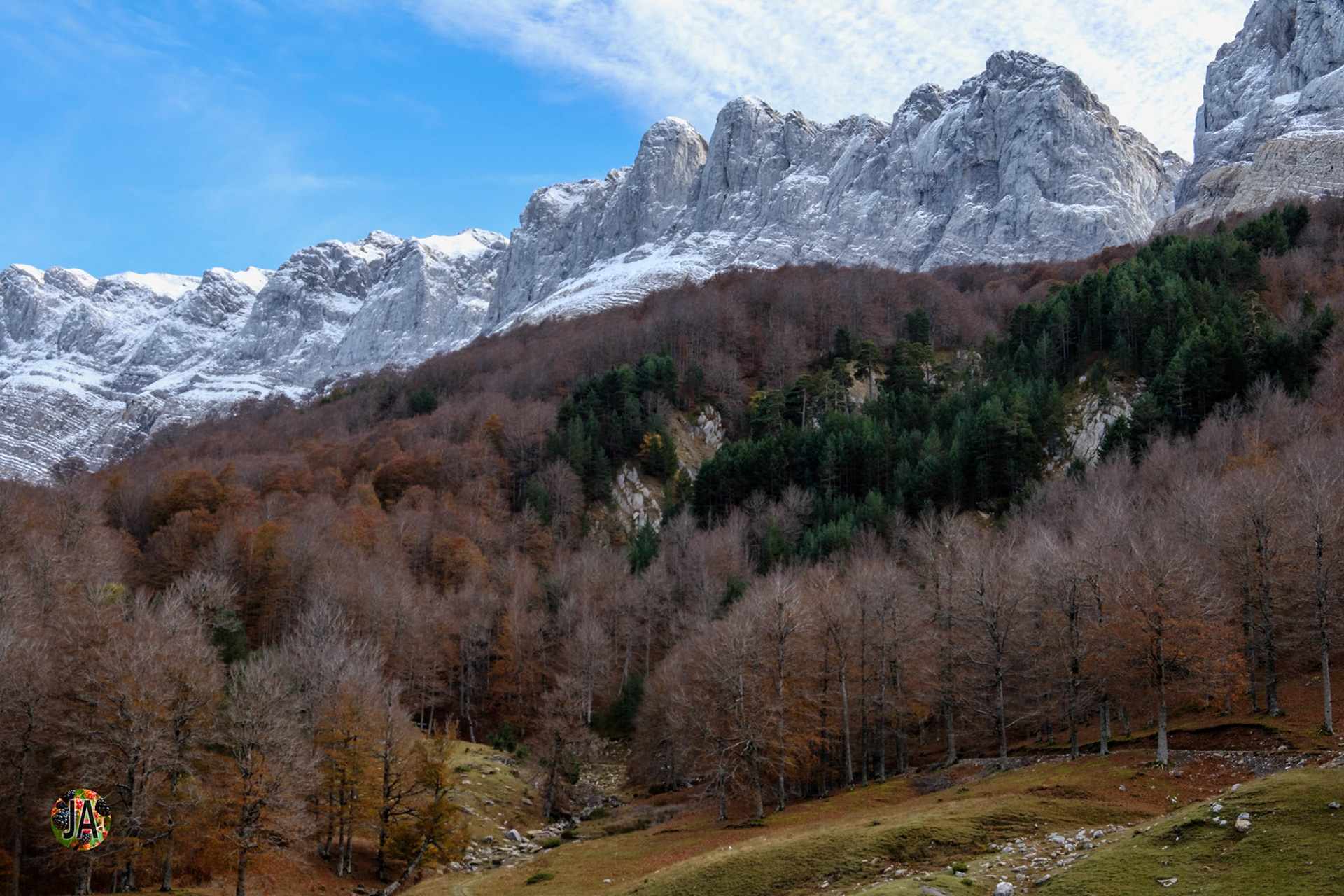 Los Alanos. Del refugio de Zuriza al de Tacheras. Huesca