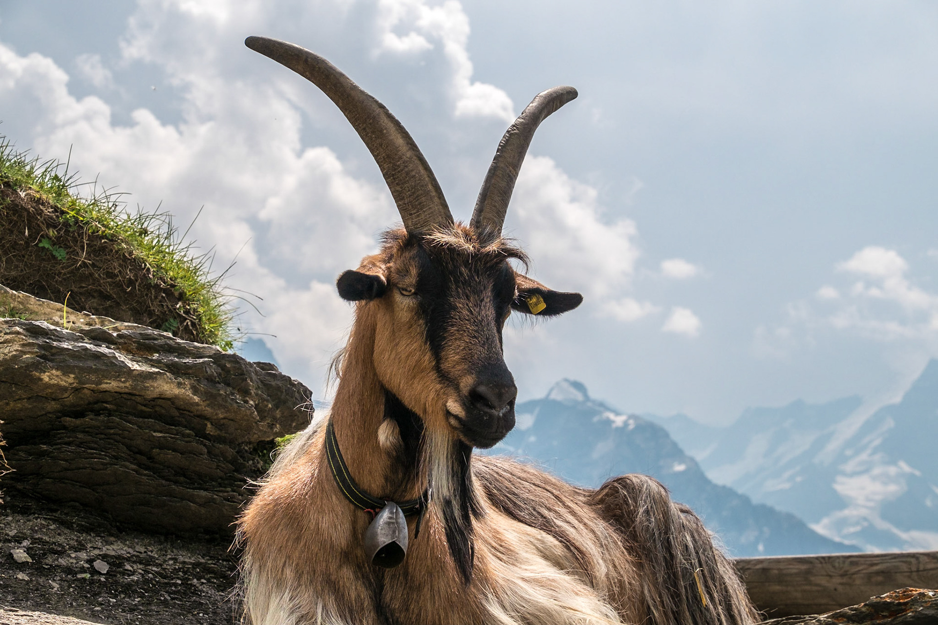 Eiger Ultra Trail, Grindelwald