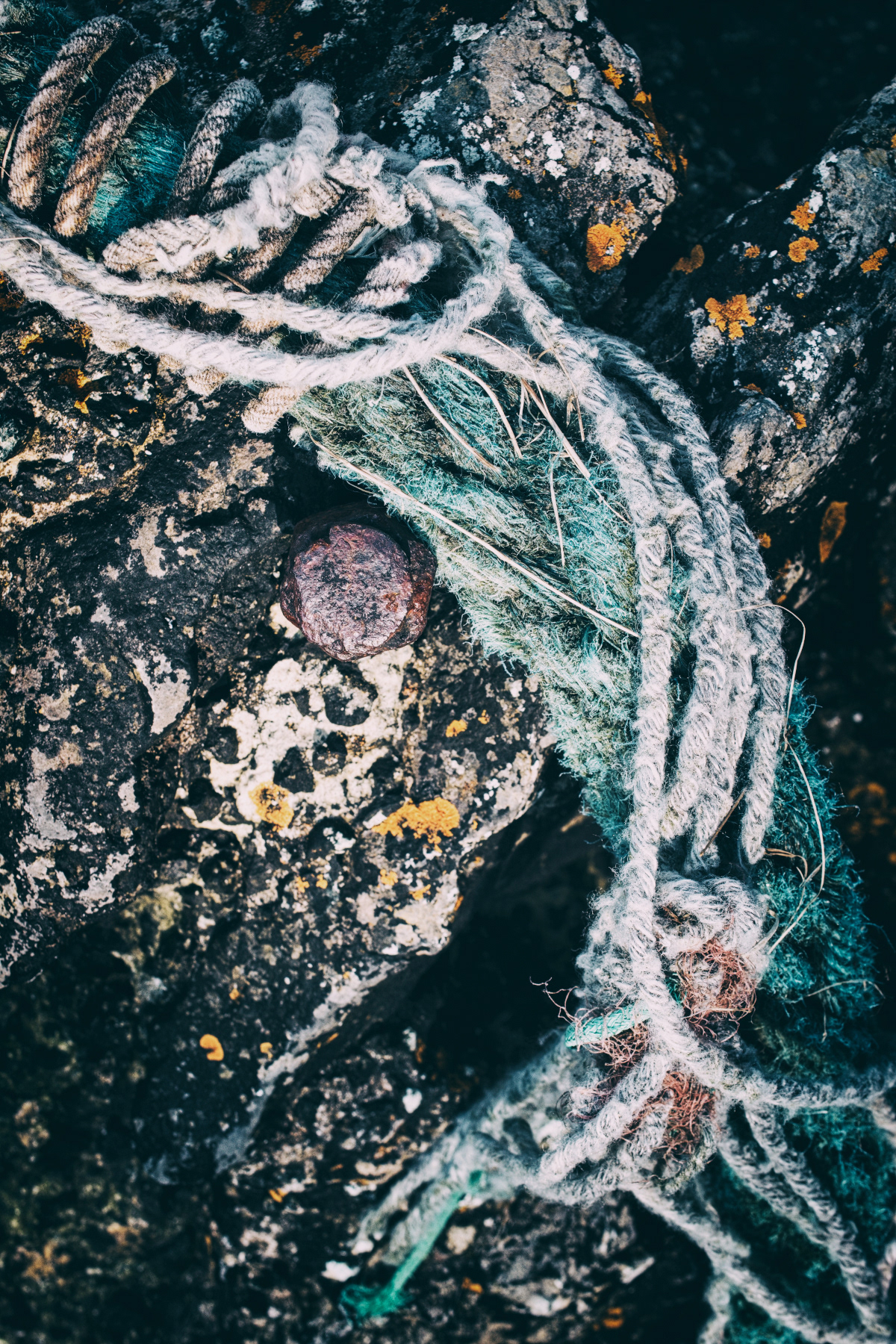 Old Rope at Stackpole Quay