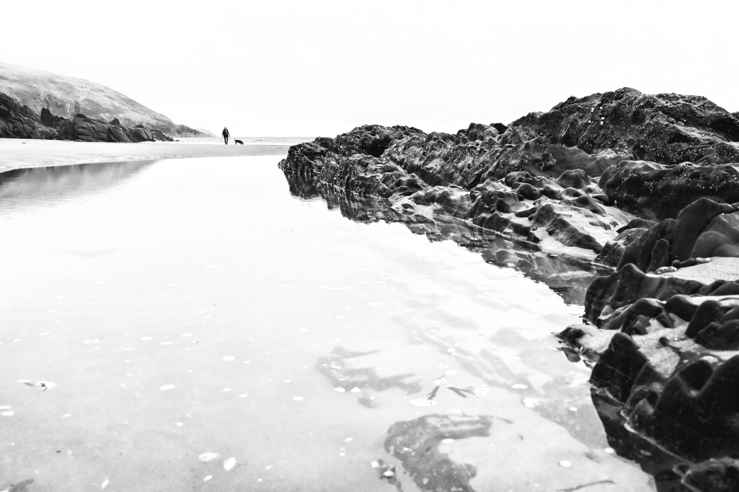 Outcrop, Freshwater East