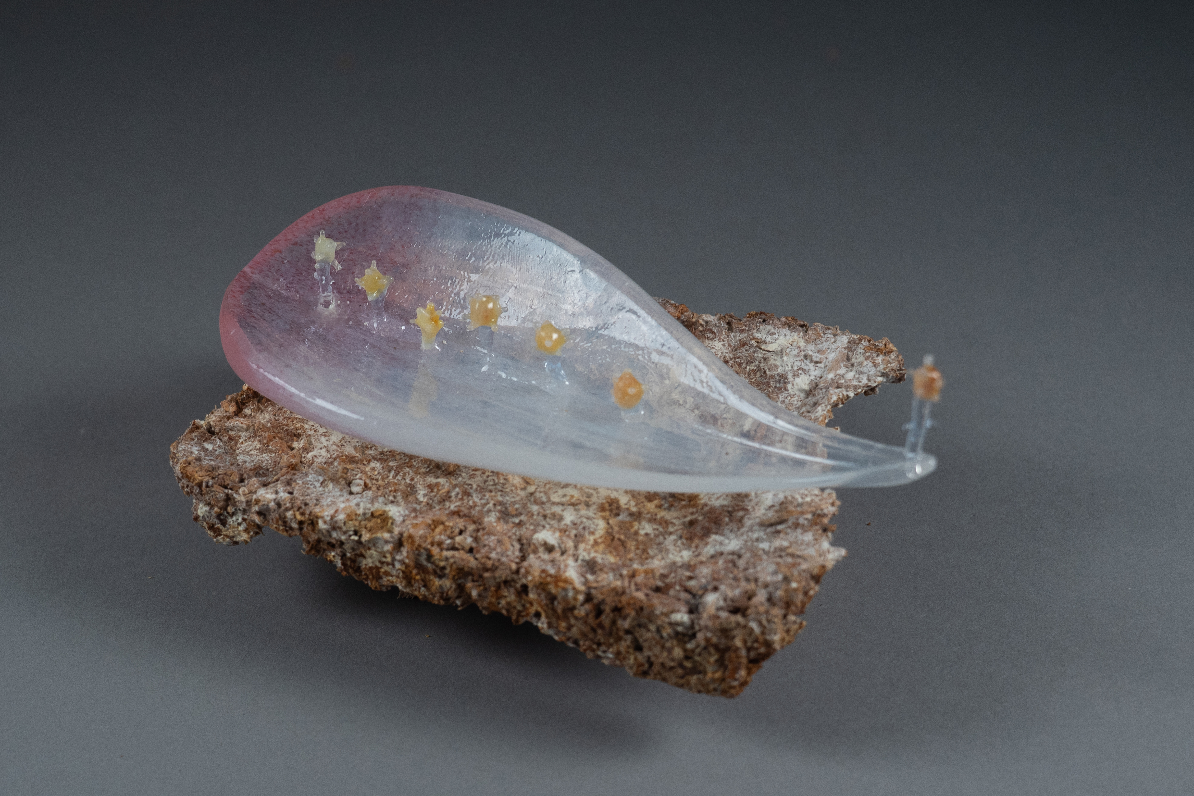 Altar vessel 盘 (pan)