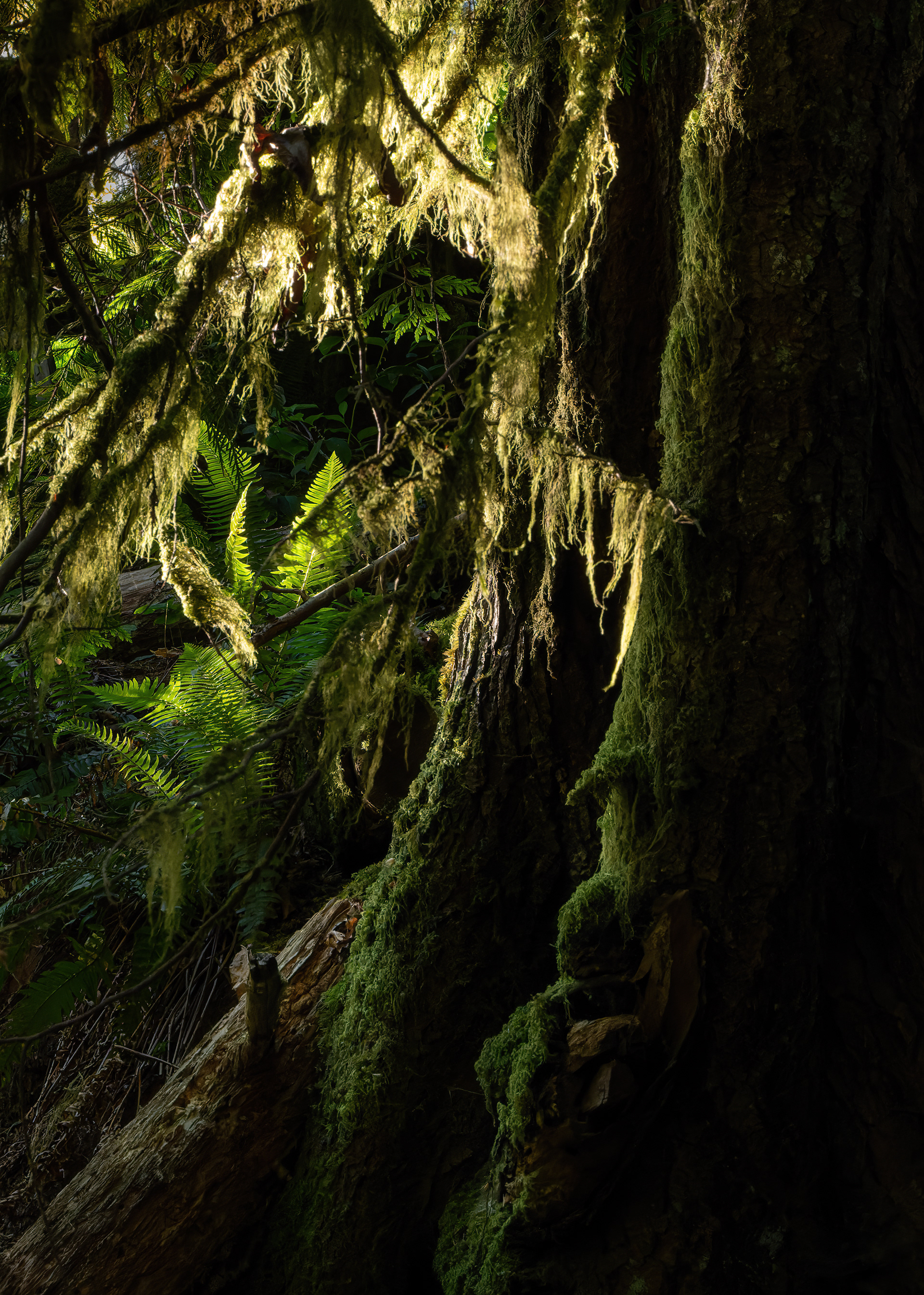 Vancouver Island, BC.