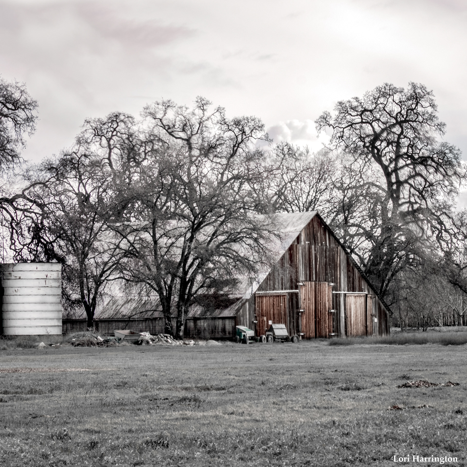Old Barn, Chico, CA.