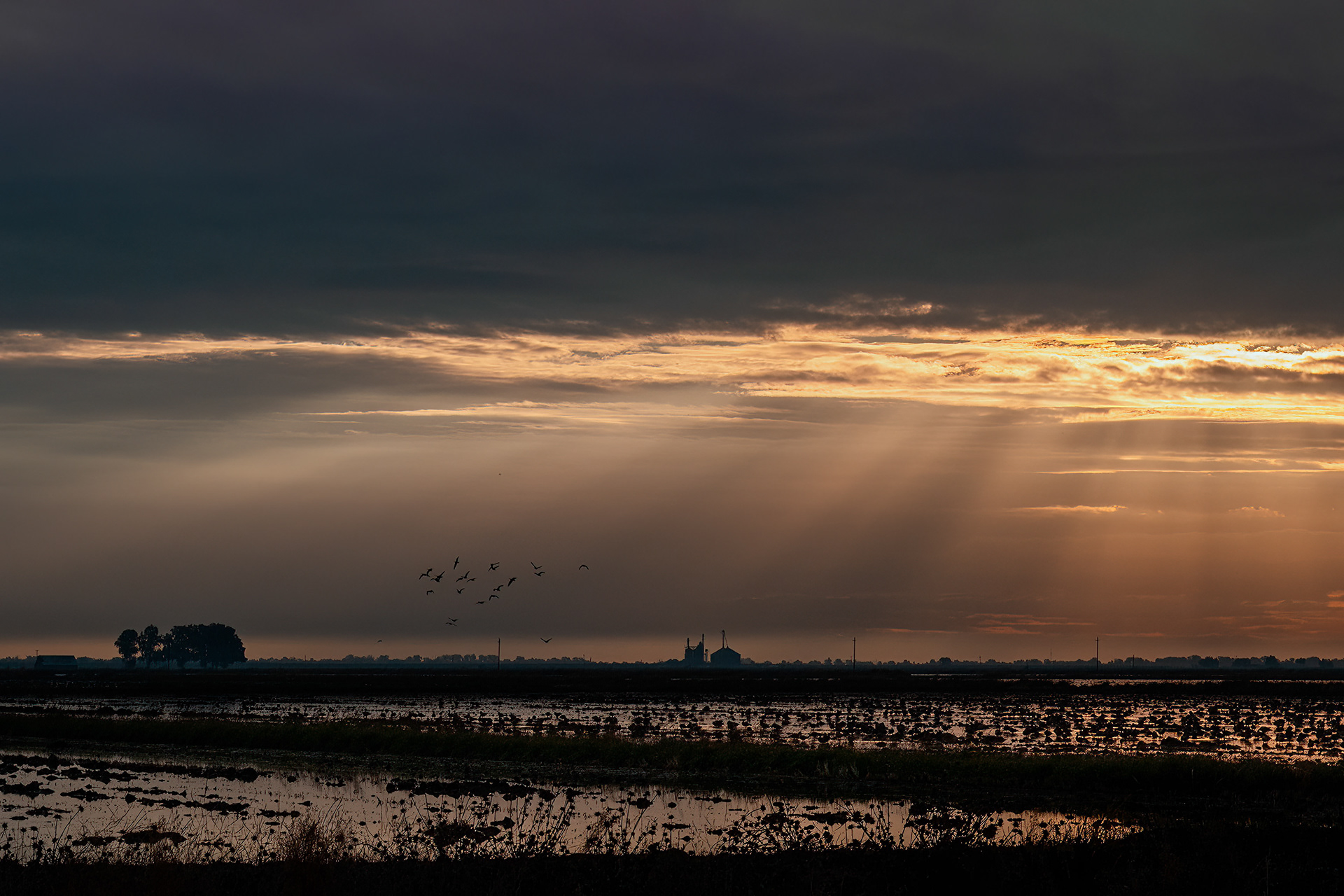 Llano Saco Wildlife Refuge, Chico, CA.