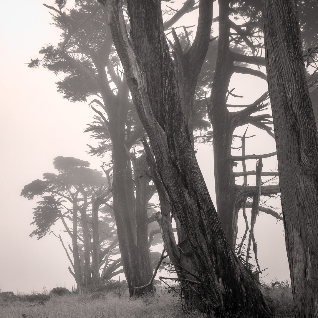 Monterey, CA.