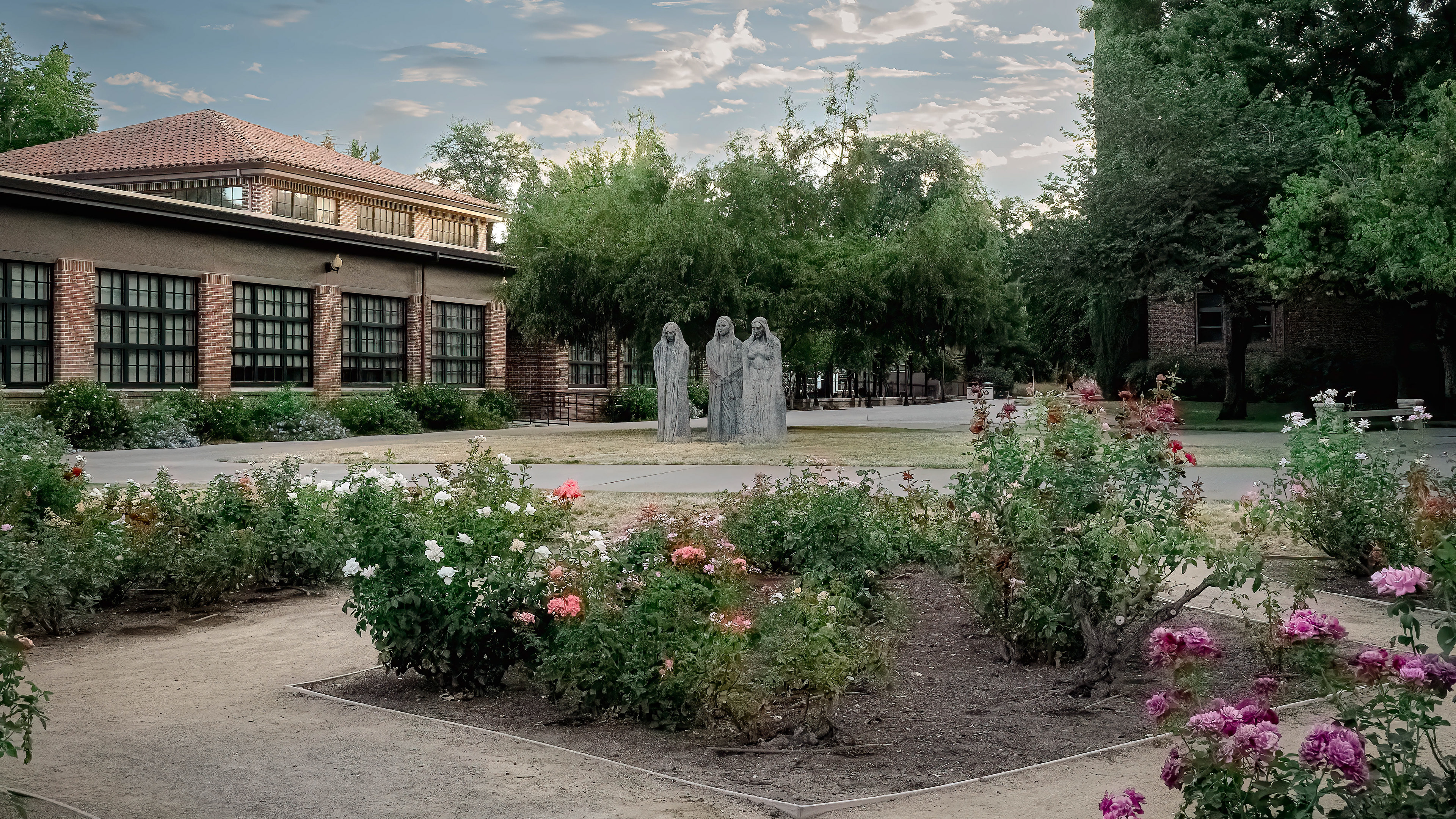 Chico State University Rose Garden