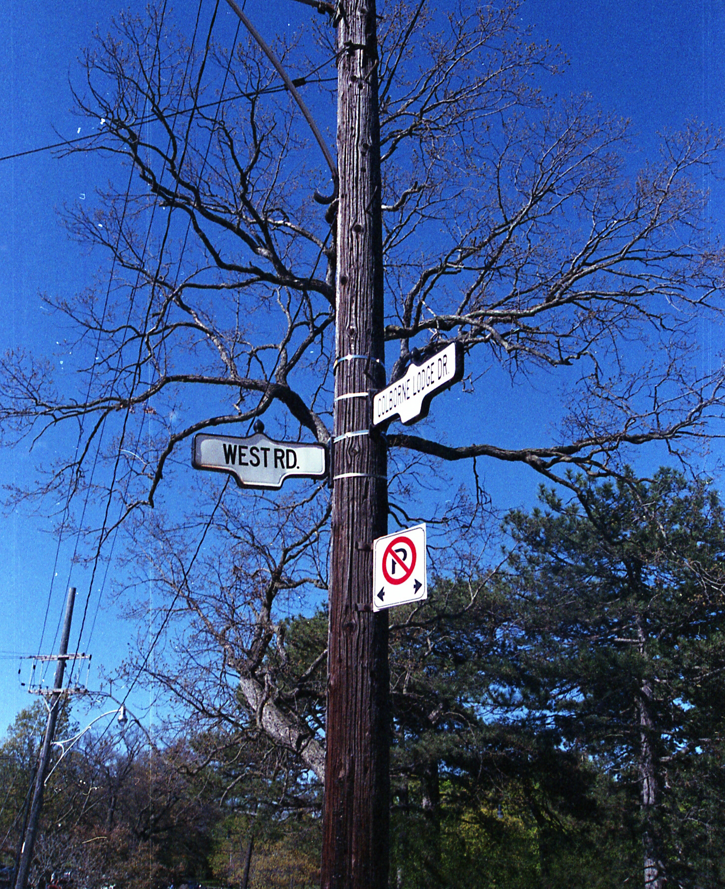 "High Park" Shot by Sabrina Narzoles. 2021