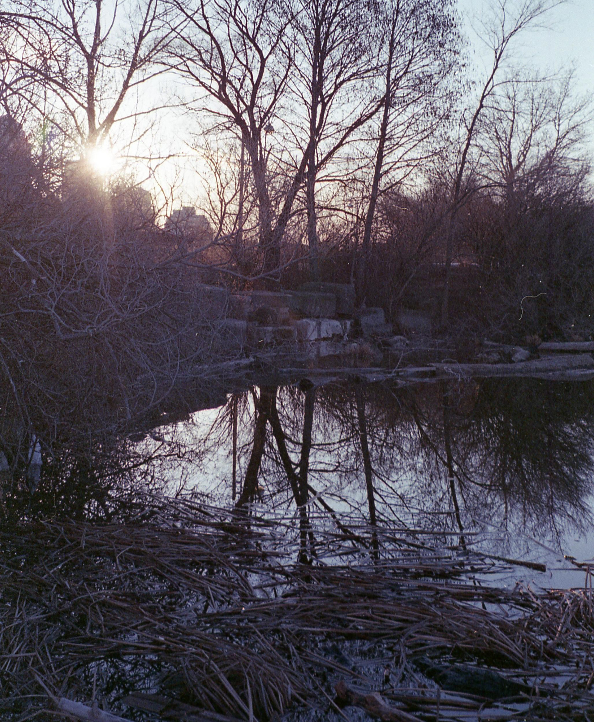 "Humber" Shot by Sabrina Narzoles. 2019