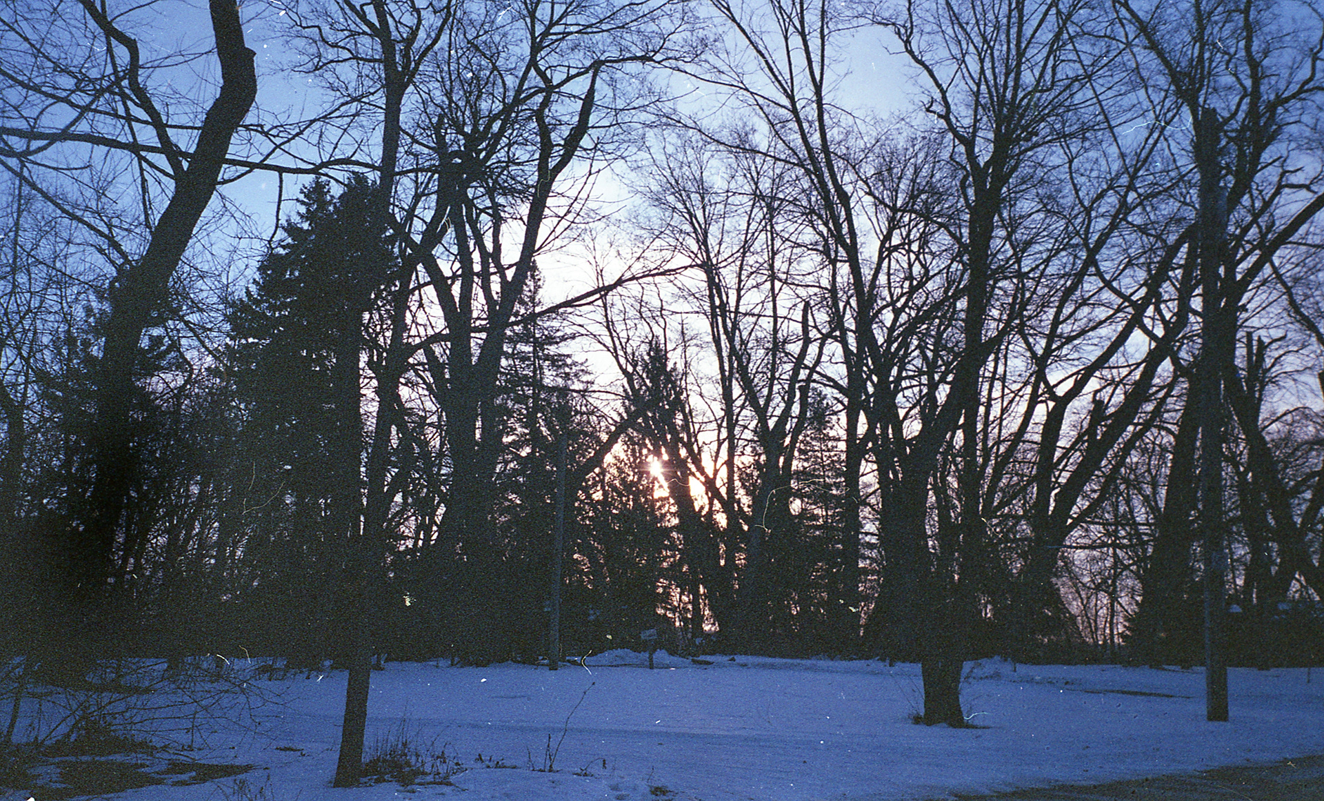 "Winter Silhouette" Shot by Sabrina Narzoles. 2021