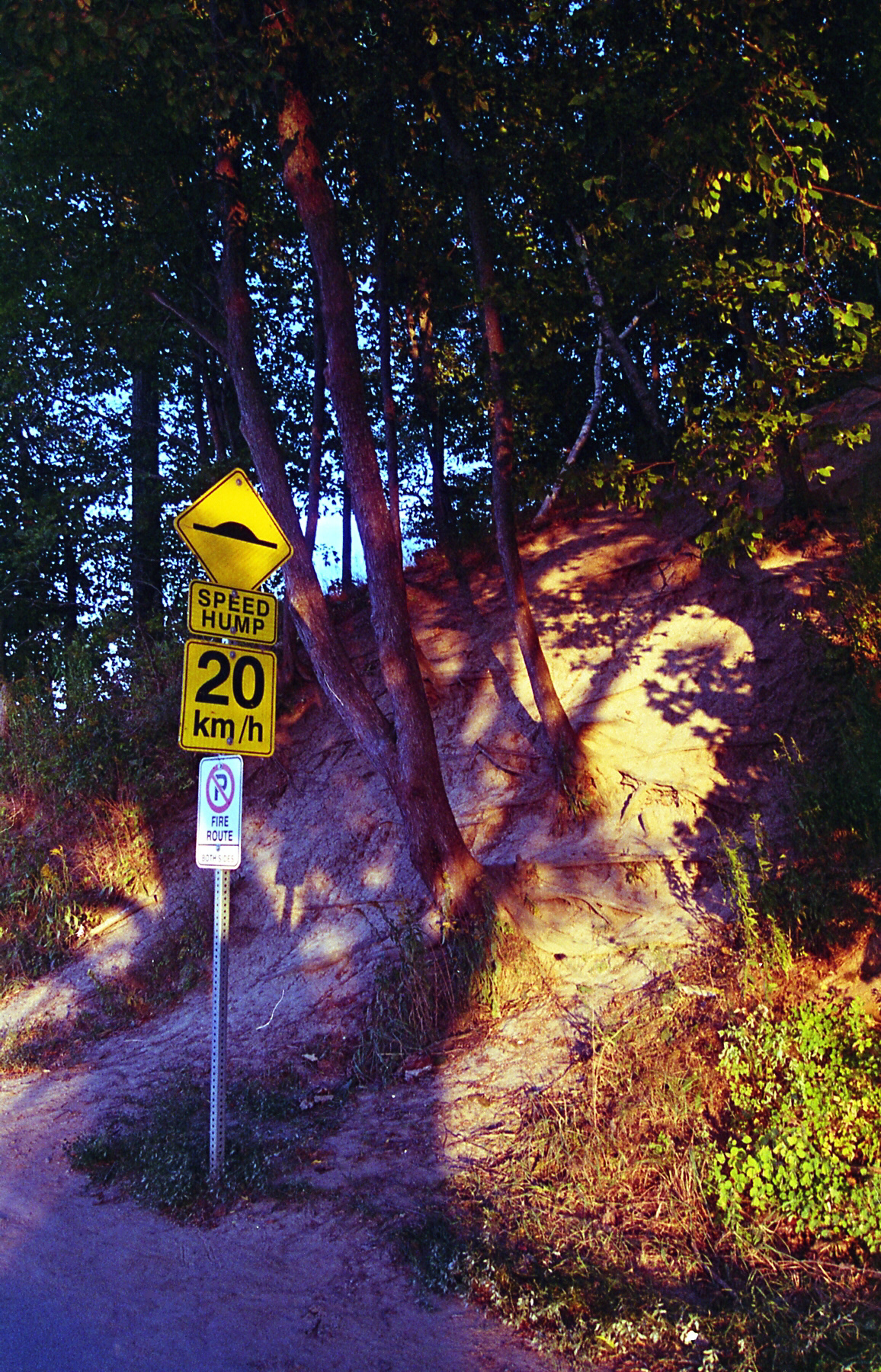 "Drive Slow" Shot by Sabrina Narzoles. 2021