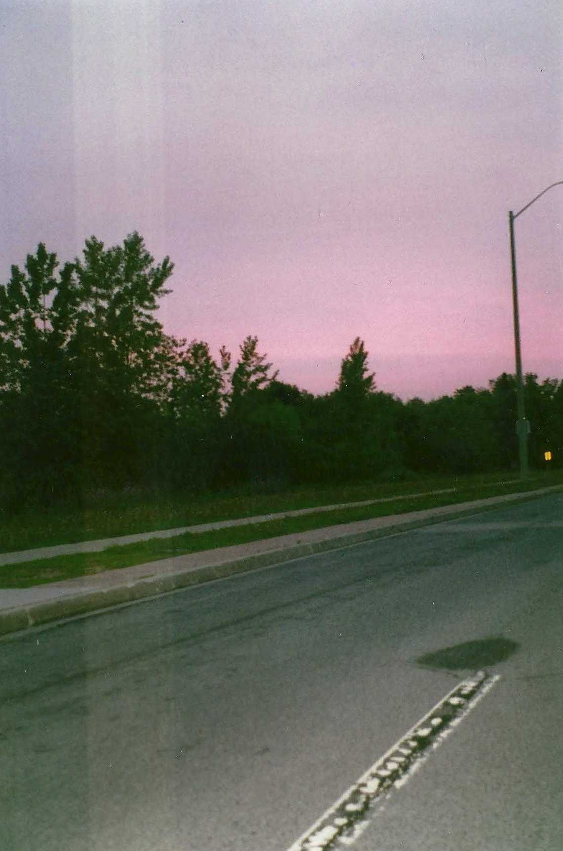 "Pink Road" Shot by Sabrina Narzoles. 2019