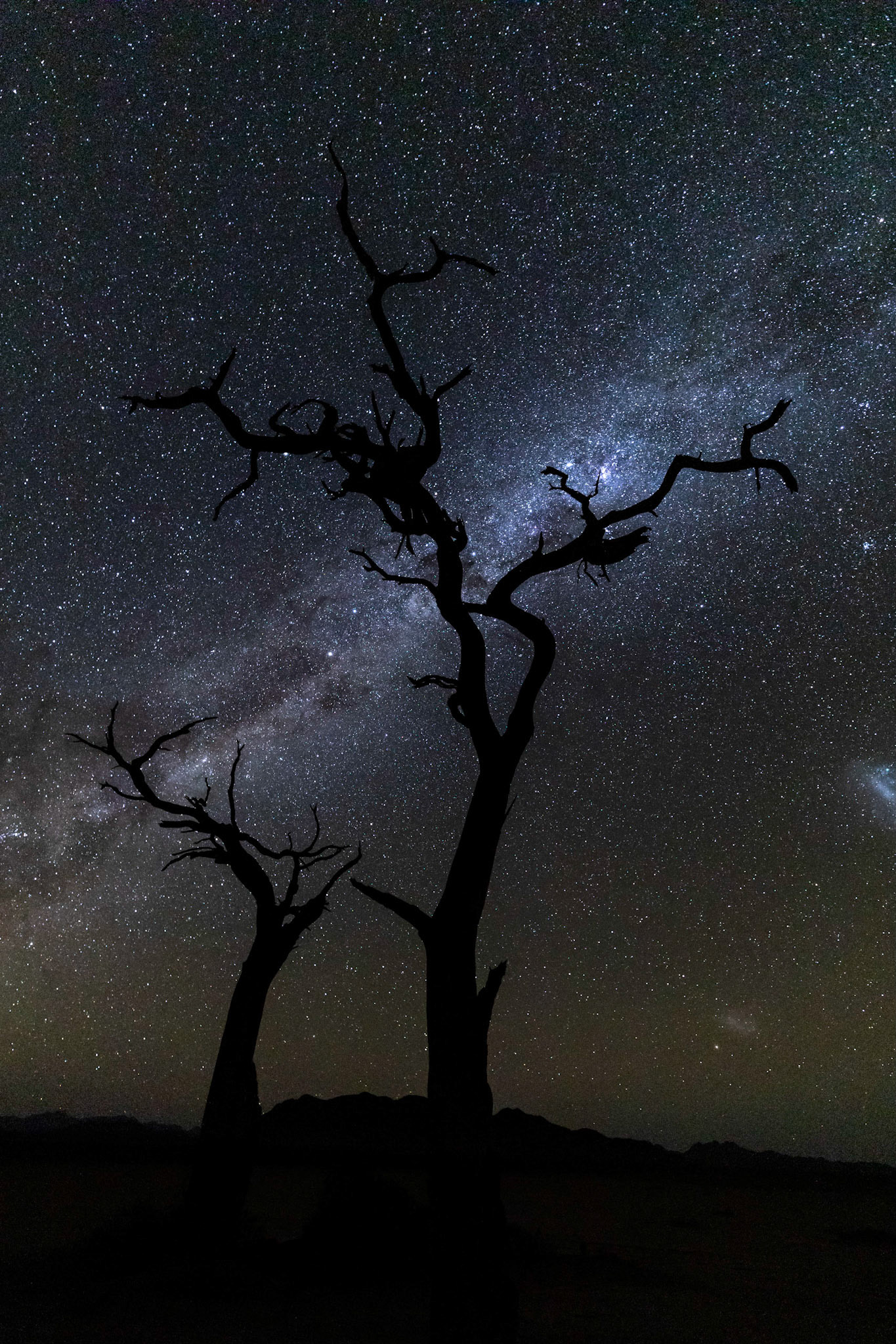 Milky Way; Little Kulala Wilderness Reserve