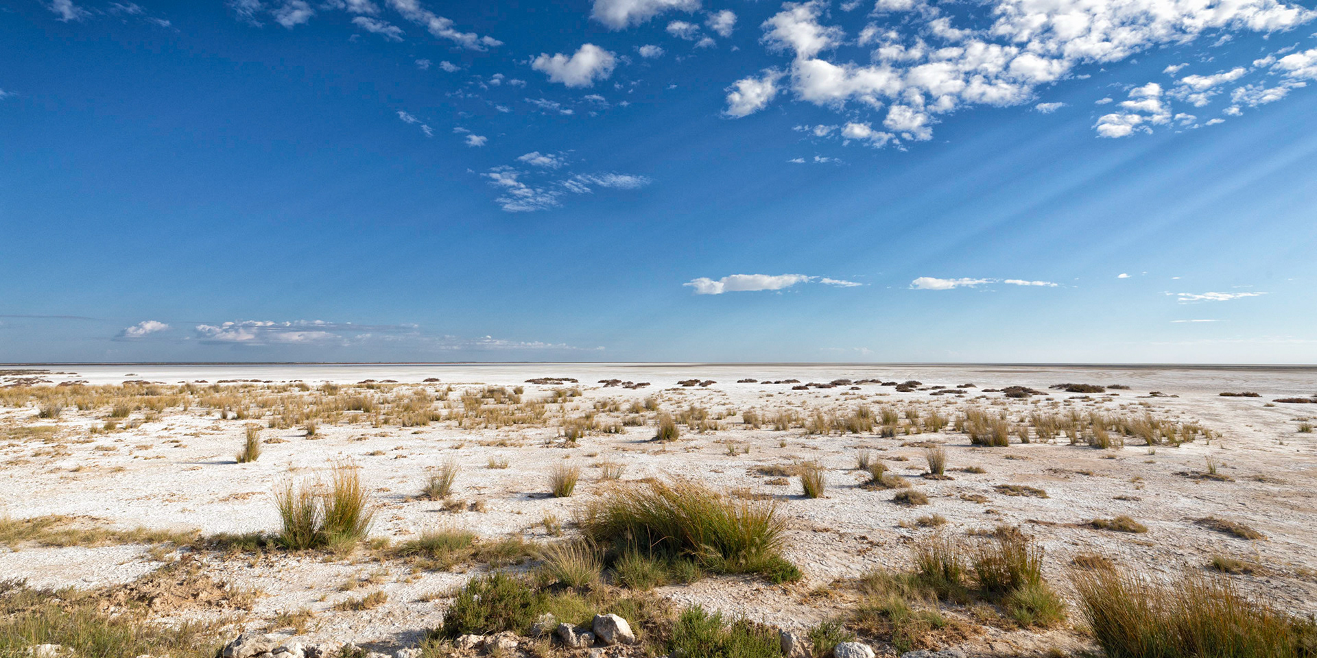 Etosha Salt Pan