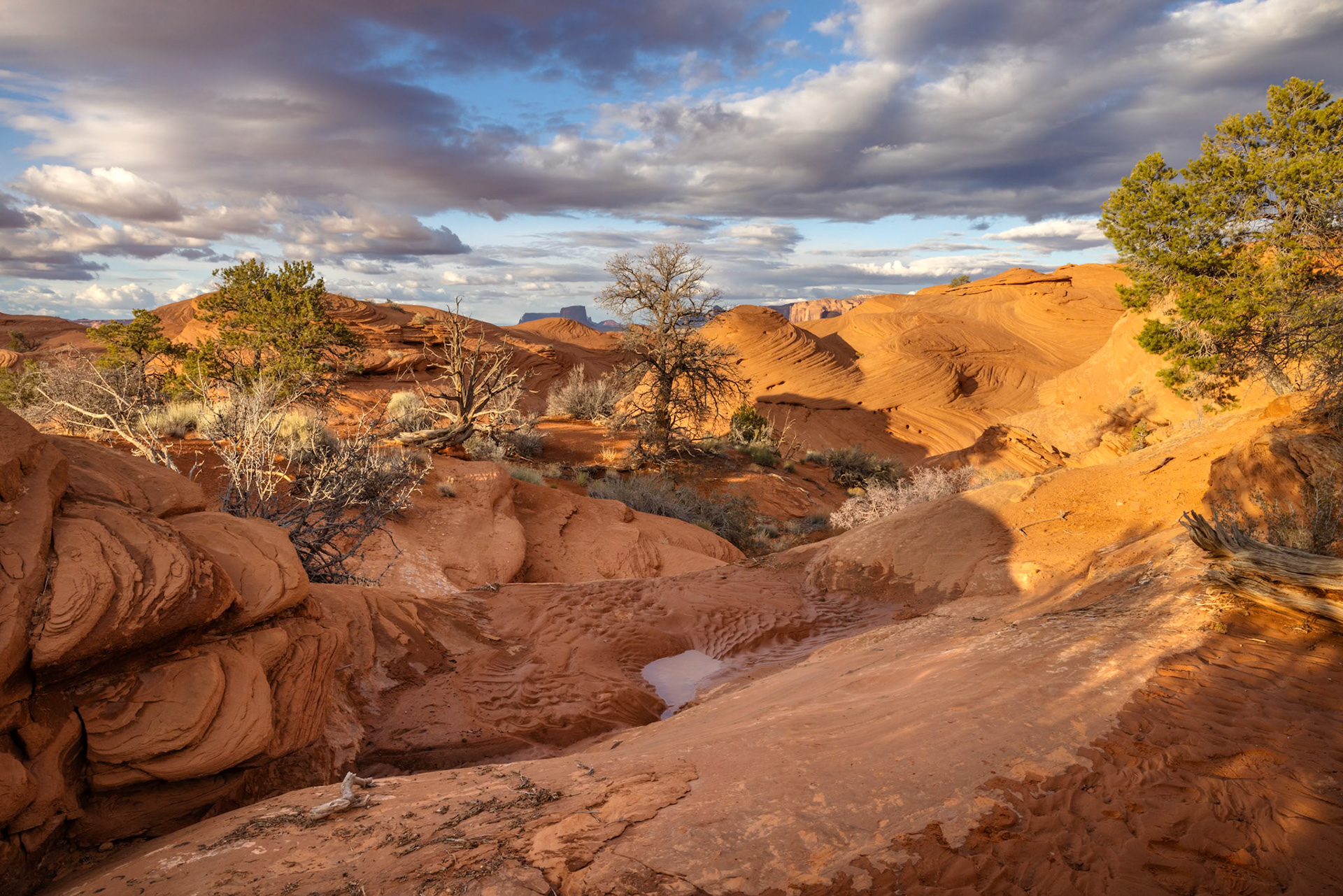 Mystery Valley