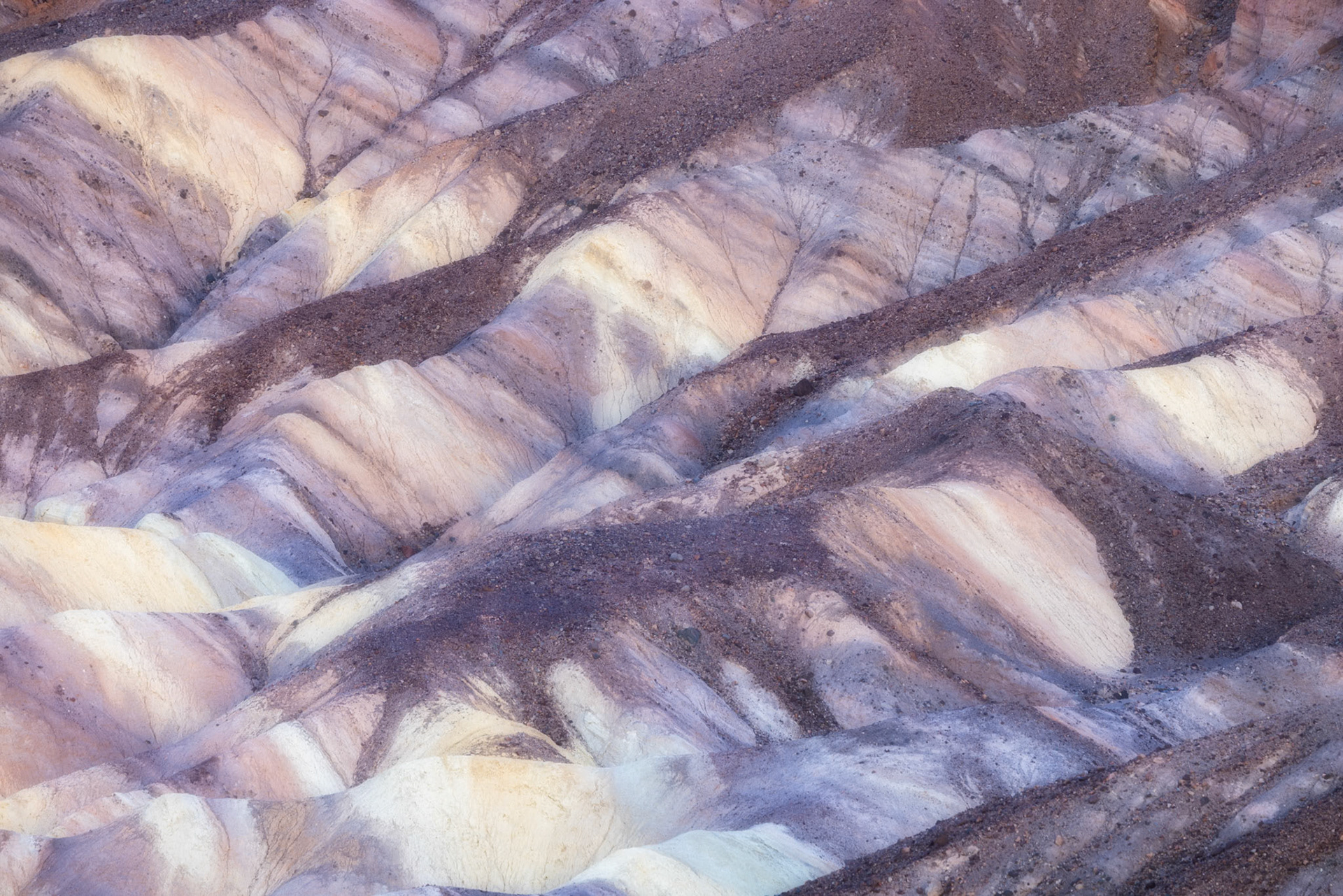 Red Cathedral detail