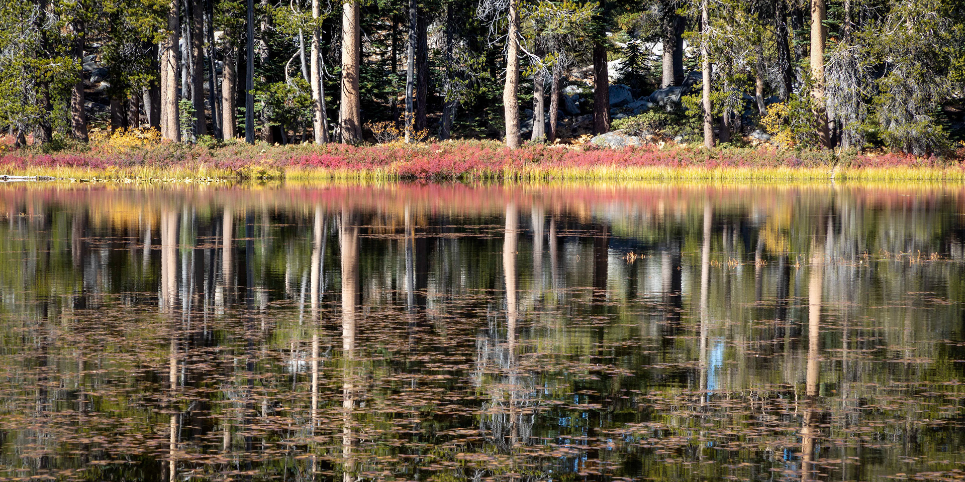 Tioga Pass Road, Siesta Lake, Oct 2019