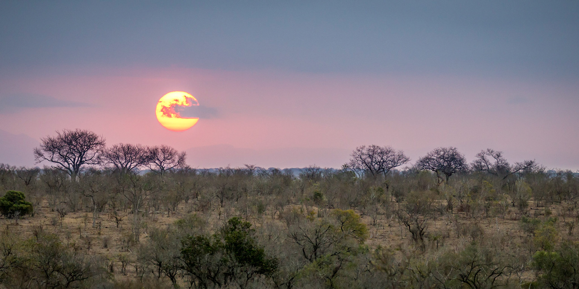 Tintswalo Reserve Sunset