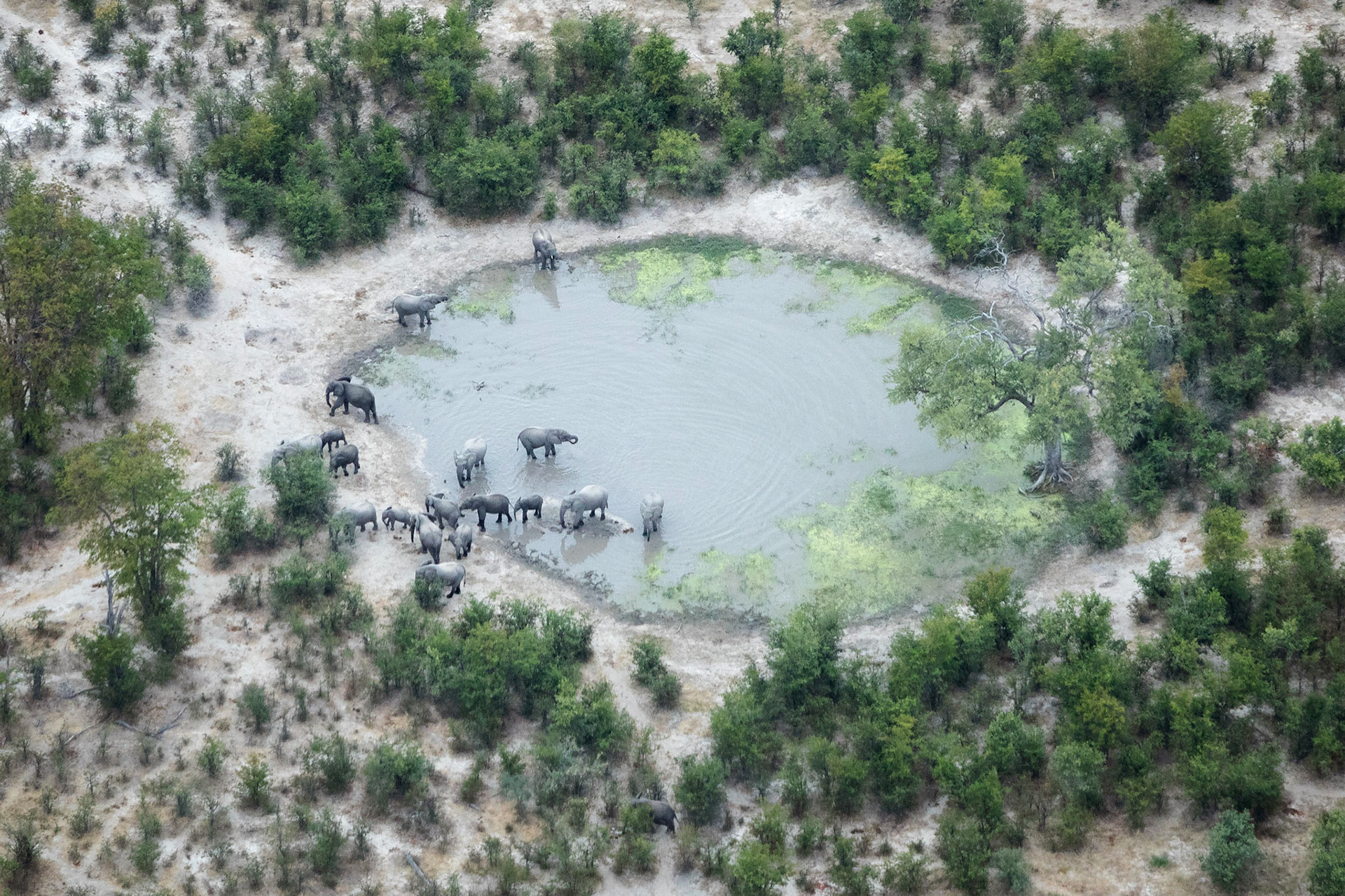 Okavango Delta