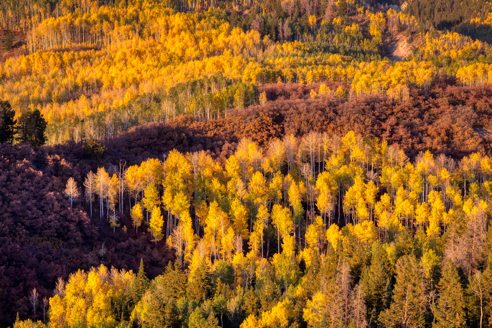 Owl Creek Vista Point